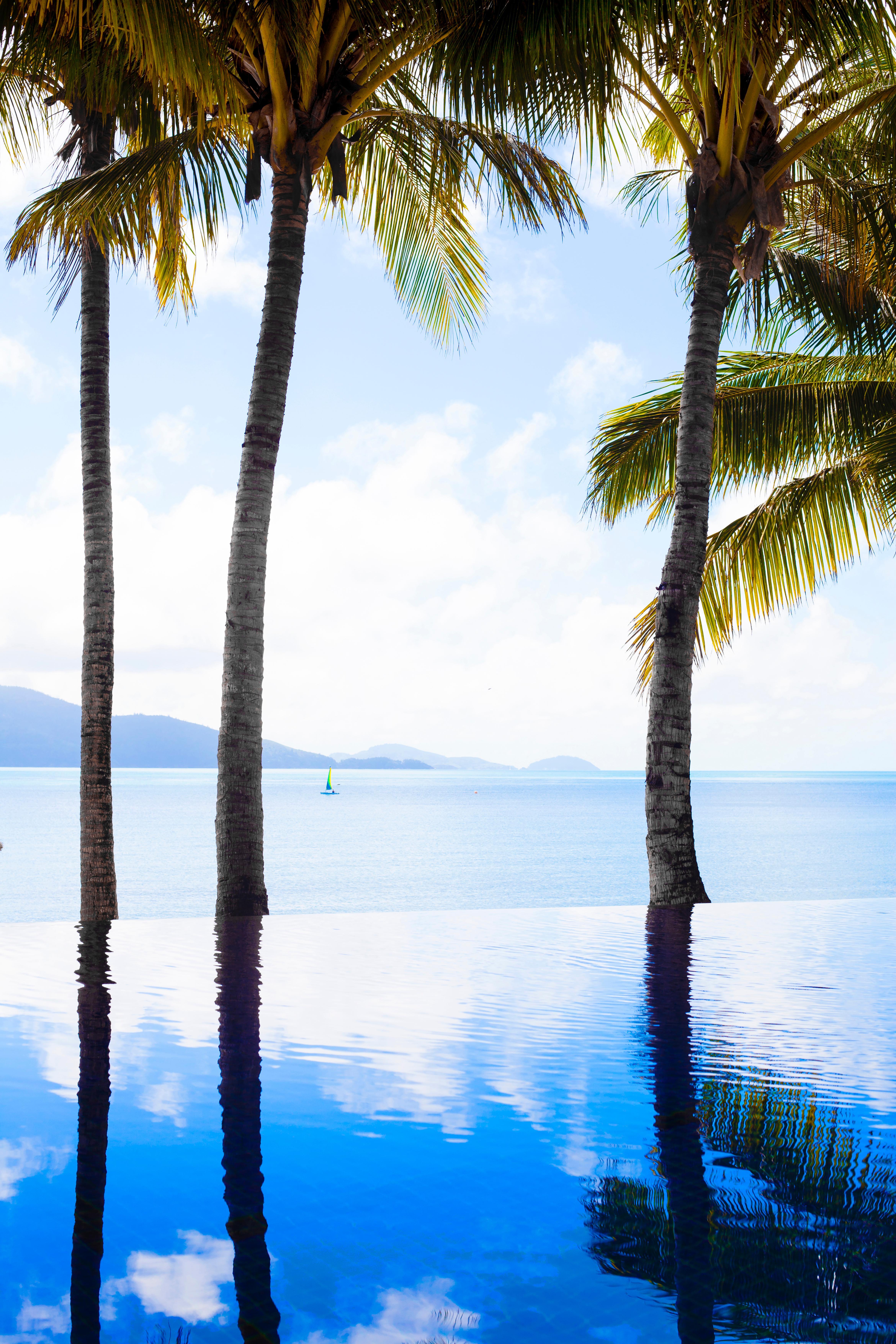 Beach Club (Adults Only) Isla Hamilton Exterior foto